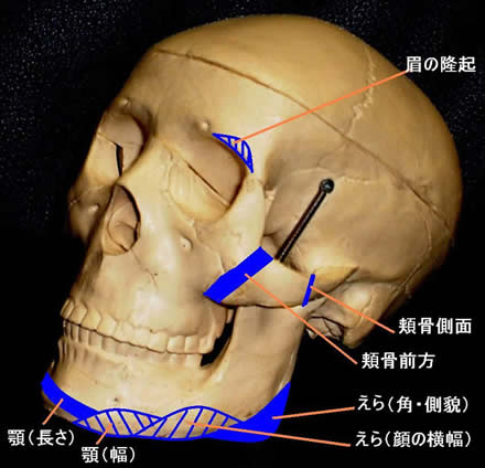 顔の輪郭手術 えら 頬骨 顎 南クリニック